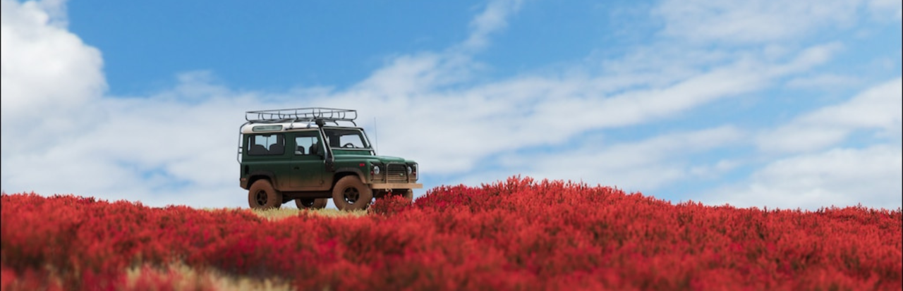 Forza Horizon 4 — galeri 11